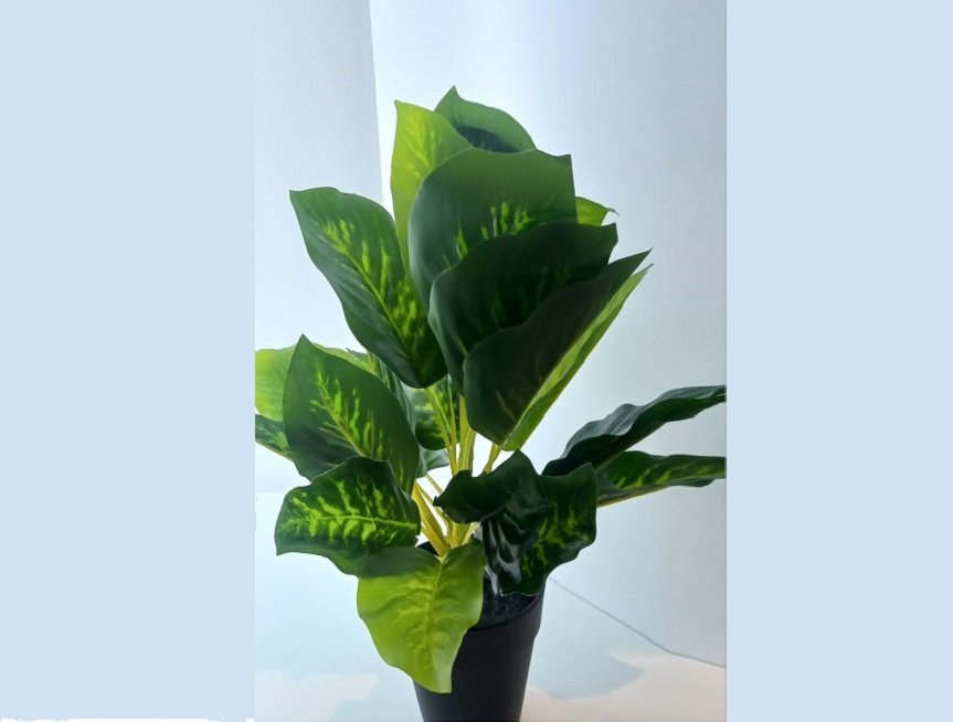 Greenscape Creation